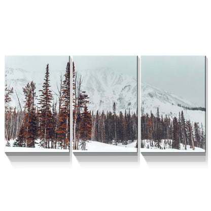 3 Panels Framed Winter Forest Canvas Wall Art Decor,3 Pieces Mordern Canvas Decoration Painting for Office,Dining room,Living room, Bedroom Decor-Ready to Hang