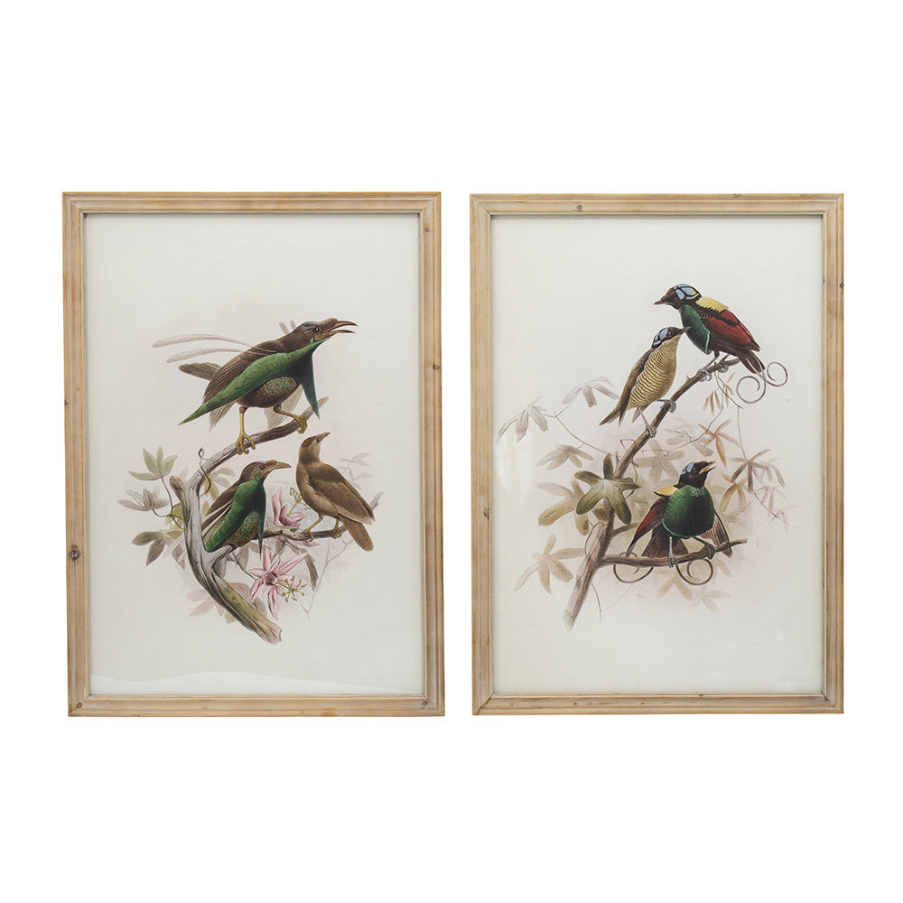 S/2 Bird Framed Print, 19.5x27.5"