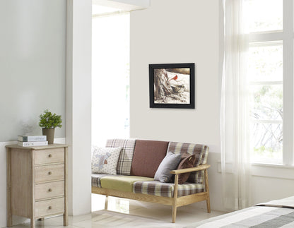 "Country Cardinal" By John Rossini, Printed Wall Art, Ready To Hang Framed Poster, Black Frame