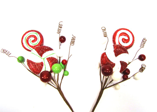 Christmas Floral C and y Berry Pick