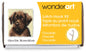 Spinrite Wonderart Latch Hook Kit 12inchX12inch Chocolate Dog