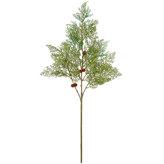 Pine Spray Cypress 39 Inches