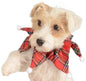 Dog Plaid Collar Medium Large