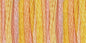 DMC Color Variations 6 Str and Embroidery Floss 8.7yd Summer Breeze