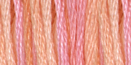 Dmc Color Variations 6 Str and Embroidery Floss 8.7