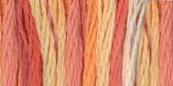 DMC Color Variations 6 Str and Embroidery Floss 8.7yd Tropical Sunset