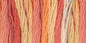 DMC Color Variations 6 Str and Embroidery Floss 8.7yd Tropical Sunset