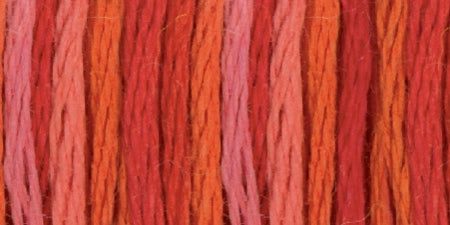 DMC Color Variations 6 Str and Embroidery Floss 8.7yd Wild Fire