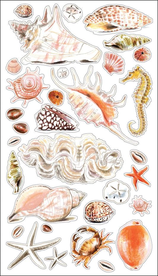 Sticko Stickers Seashells and S and