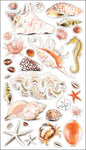 Sticko Stickers Seashells and S and