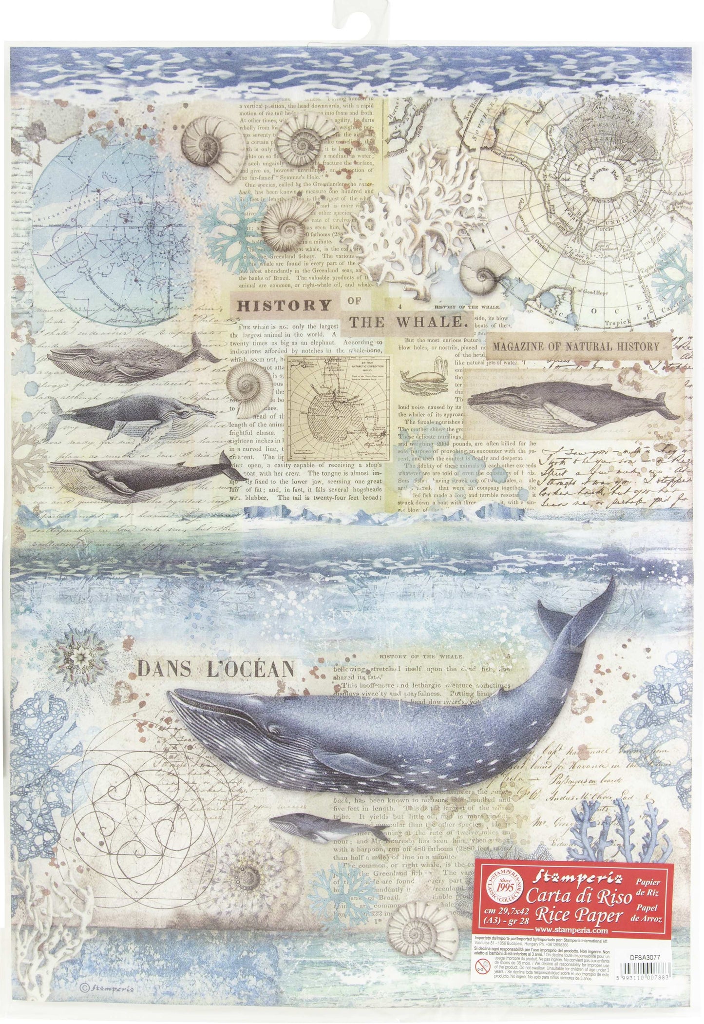 Stamperia Rice Paper Sheet A3 History Of Whale Arctic Antarctic