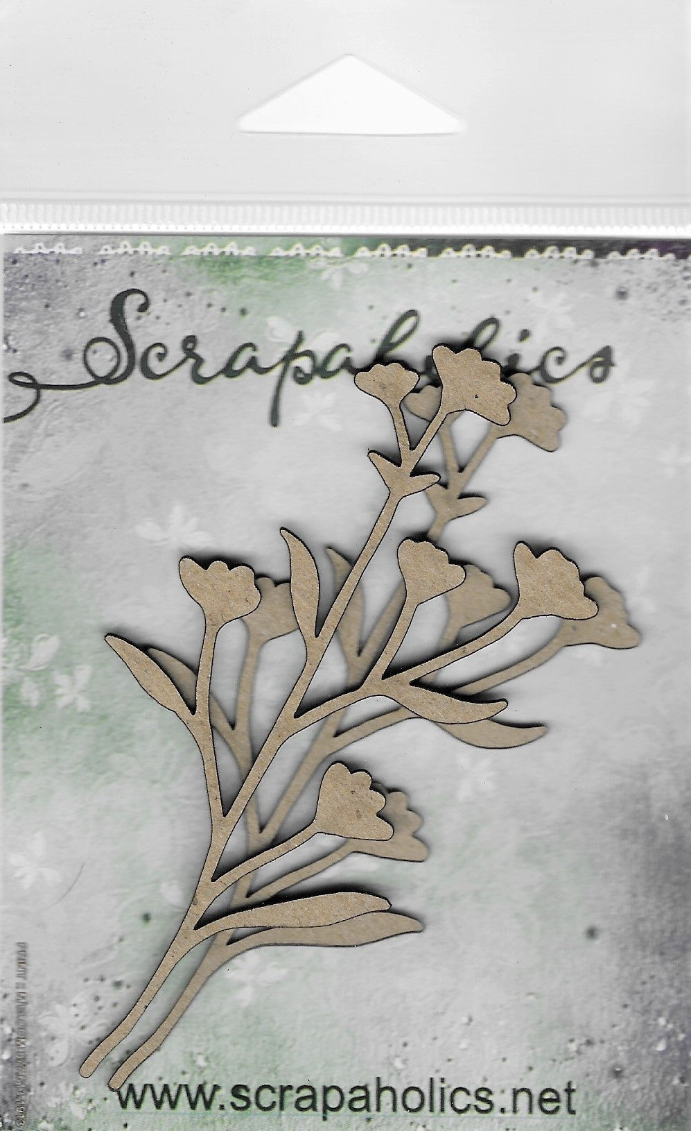 Scrapaholics Laser Cut Chipboard 2mm Thick-Botanicals 8, 2 Per Pkg, 4 inch X2 inch